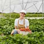 Climate challenges and resilient strategies for agriculture
